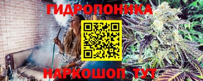 каннабис Шелехов