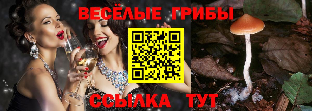 Галлюциногенные грибы Magic Shrooms Калуга